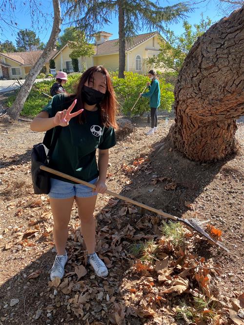 NHS Raking Yard debris